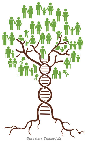 Genetic family tree