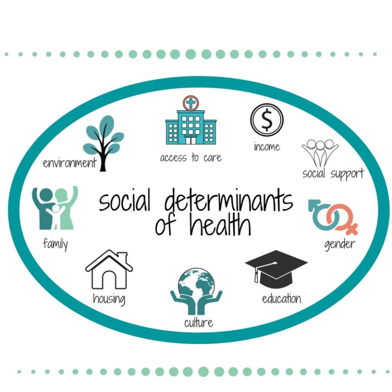 Social Determinants of Health course: Learn strategies to improve ...