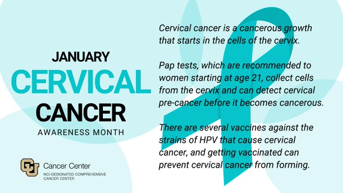 What Is Cervical Cancer? - NCI