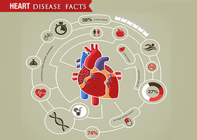 heart_infographic